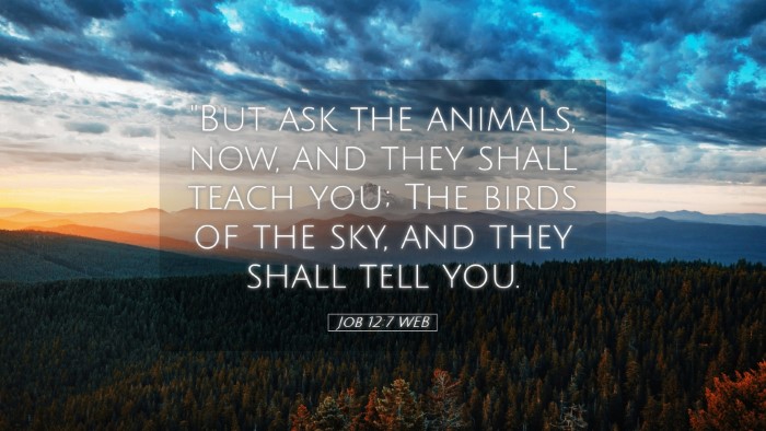 Picture 05 - Job 12:7 WEB Desktop Wallpaper - 