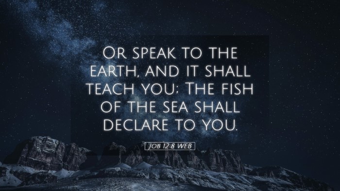 Picture 05 - Job 12:8 WEB Desktop Wallpaper - Or speak to the earth, and it shall teach you; - Desktop Bible Verse Wallpaper
