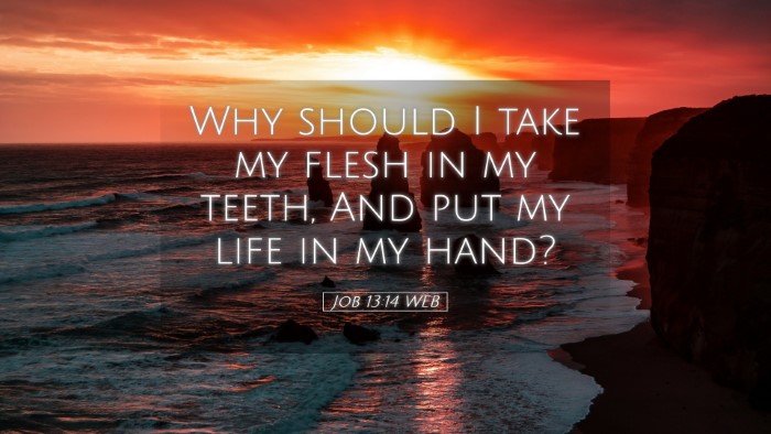 Picture 05 - Job 13:14 WEB Desktop Wallpaper - Why should I take my flesh in my teeth, And put - Desktop Bible Verse Wallpaper