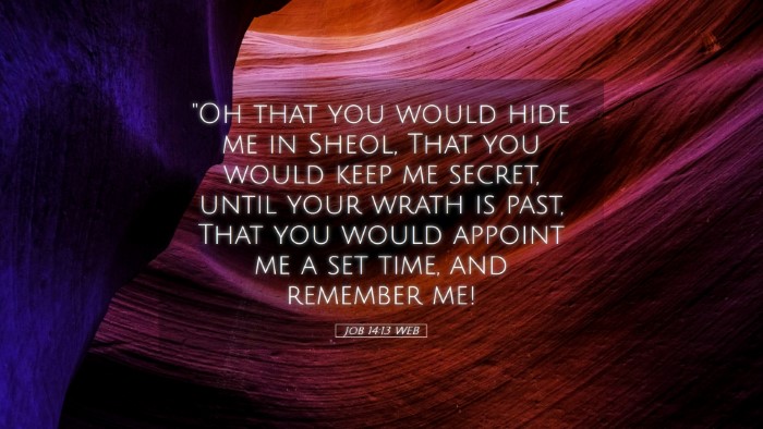 Picture 05 - Job 14:13 WEB Desktop Wallpaper - 