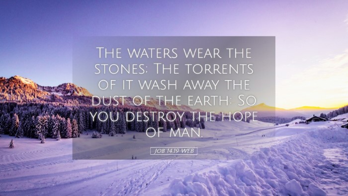 Picture 05 - Job 14:19 WEB Desktop Wallpaper - The waters wear the stones; The torrents of it - Desktop Bible Verse Wallpaper