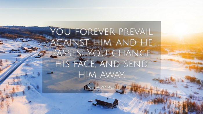 Picture 05 - Job 14:20 WEB Desktop Wallpaper - You forever prevail against him, and he passes; - Desktop Bible Verse Wallpaper