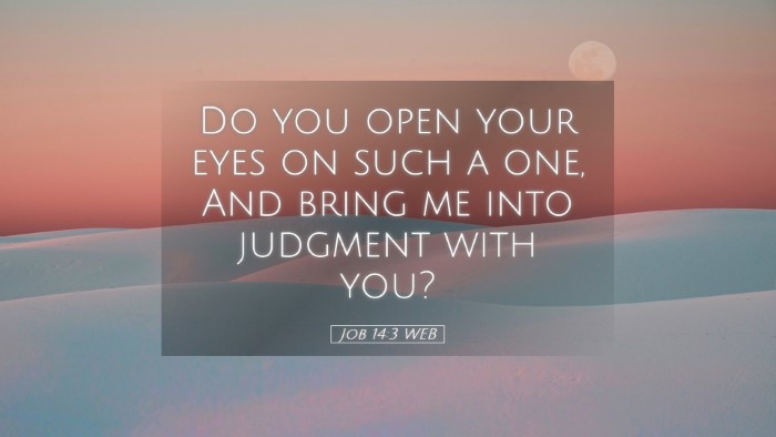 Picture 05 - Job 14:3 WEB Desktop Wallpaper - Do you open your eyes on such a one, And bring me - Desktop Bible Verse Wallpaper