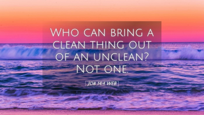 Picture 05 - Job 14:4 WEB Desktop Wallpaper - Who can bring a clean thing out of an unclean? - Desktop Bible Verse Wallpaper
