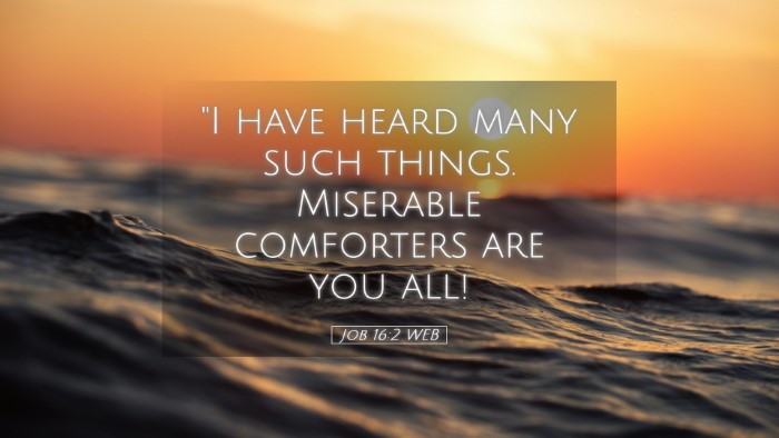 Picture 05 - Job 16:2 WEB Desktop Wallpaper - 