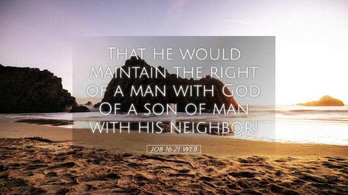 Picture 05 - Job 16:21 WEB Desktop Wallpaper - That he would maintain the right of a man with - Desktop Bible Verse Wallpaper