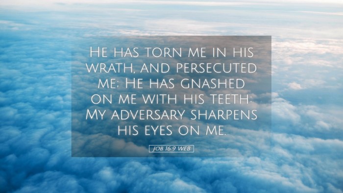 Picture 05 - Job 16:9 WEB Desktop Wallpaper - He has torn me in his wrath, and persecuted me; - Desktop Bible Verse Wallpaper