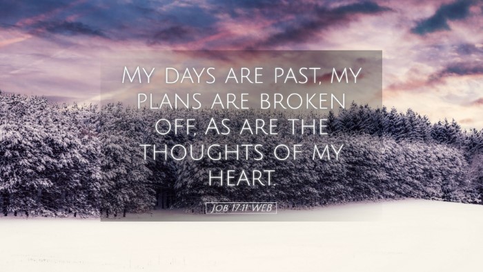 Picture 05 - Job 17:11 WEB Desktop Wallpaper - My days are past, my plans are broken off, As are - Desktop Bible Verse Wallpaper