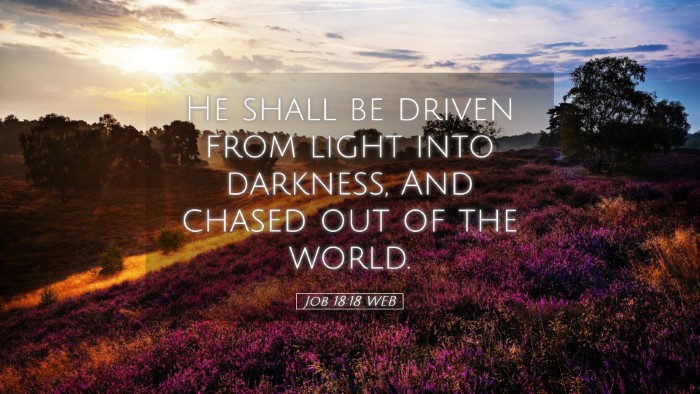 Picture 05 - Job 18:18 WEB Desktop Wallpaper - He shall be driven from light into darkness, And - Desktop Bible Verse Wallpaper