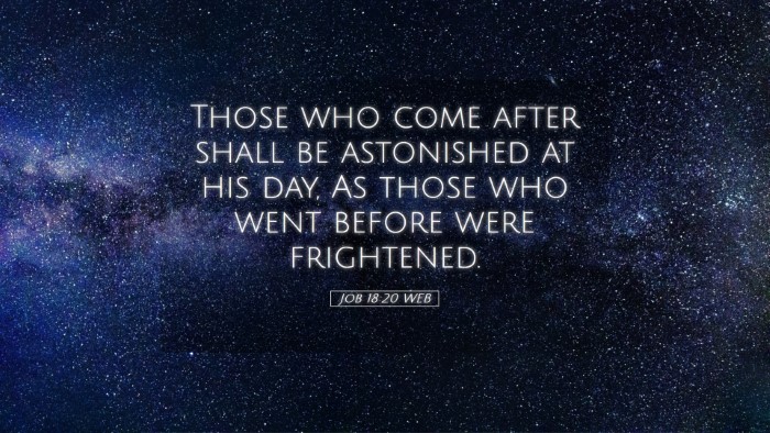 Picture 05 - Job 18:20 WEB Desktop Wallpaper - Those who come after shall be astonished at his - Desktop Bible Verse Wallpaper