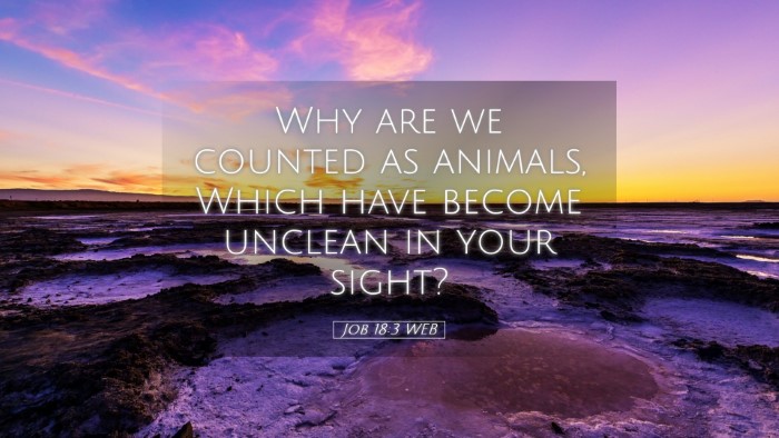 Picture 05 - Job 18:3 WEB Desktop Wallpaper - Why are we counted as animals, Which have become - Desktop Bible Verse Wallpaper