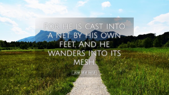 Picture 05 - Job 18:8 WEB Desktop Wallpaper - For he is cast into a net by his own feet, And he - Desktop Bible Verse Wallpaper