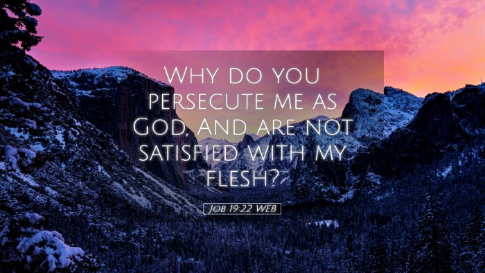 Picture 05 - Job 19:22 WEB Desktop Wallpaper - Why do you persecute me as God, And are not - Desktop Bible Verse Wallpaper