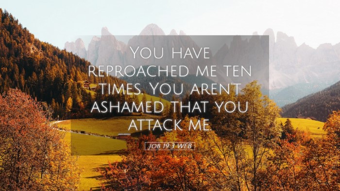 Picture 05 - Job 19:3 WEB Desktop Wallpaper - You have reproached me ten times. You aren't - Desktop Bible Verse Wallpaper