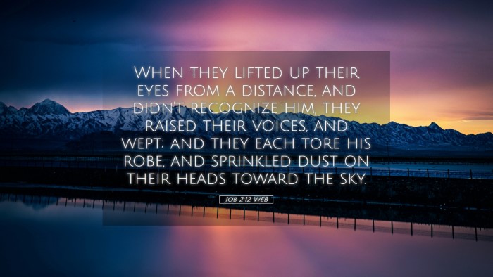 Picture 05 - Job 2:12 WEB Desktop Wallpaper - When they lifted up their eyes from a distance, - Desktop Bible Verse Wallpaper