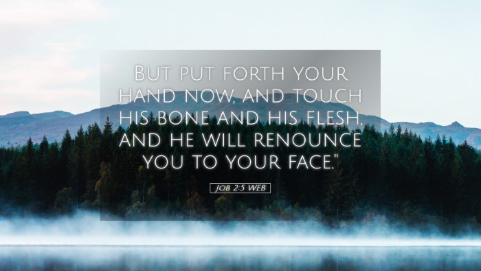 Picture 05 - Job 2:5 WEB Desktop Wallpaper - But put forth your hand now, and touch his bone - Desktop Bible Verse Wallpaper