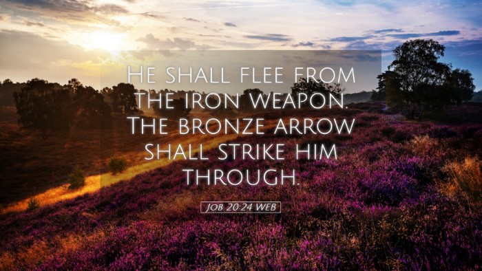 Picture 05 - Job 20:24 WEB Desktop Wallpaper - He shall flee from the iron weapon. The bronze - Desktop Bible Verse Wallpaper