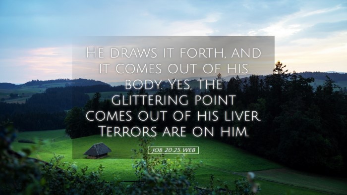 Picture 05 - Job 20:25 WEB Desktop Wallpaper - He draws it forth, and it comes out of his body. - Desktop Bible Verse Wallpaper