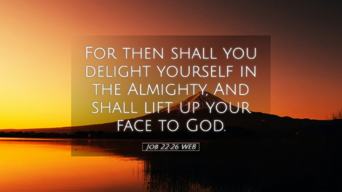 Picture 05 - Job 22:26 WEB Desktop Wallpaper - For then shall you delight yourself in the - Desktop Bible Verse Wallpaper