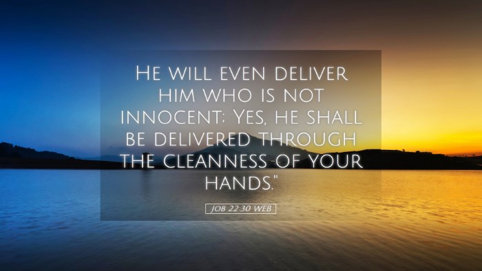 Picture 05 - Job 22:30 WEB Desktop Wallpaper - He will even deliver him who is not innocent; - Desktop Bible Verse Wallpaper