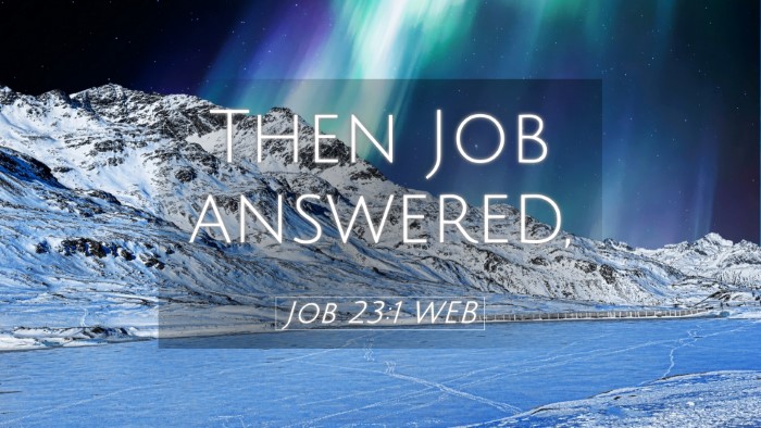 Picture 05 - Job 23:1 WEB Desktop Wallpaper - Then Job - Desktop Bible Verse Wallpaper
