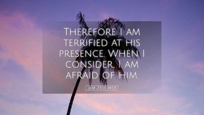 Picture 05 - Job 23:15 WEB Desktop Wallpaper - Therefore I am terrified at his presence. When I - Desktop Bible Verse Wallpaper