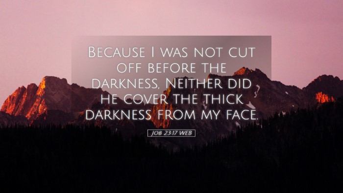 Picture 05 - Job 23:17 WEB Desktop Wallpaper - Because I was not cut off before the darkness, - Desktop Bible Verse Wallpaper