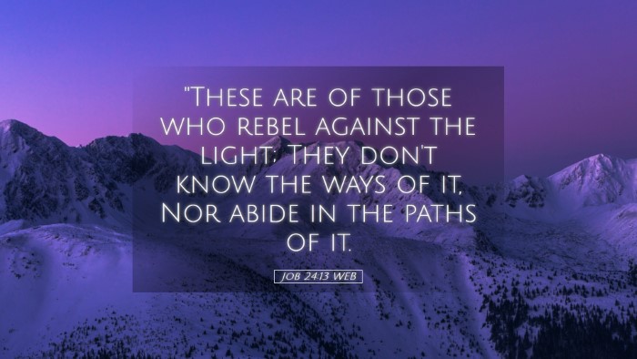 Picture 05 - Job 24:13 WEB Desktop Wallpaper - 