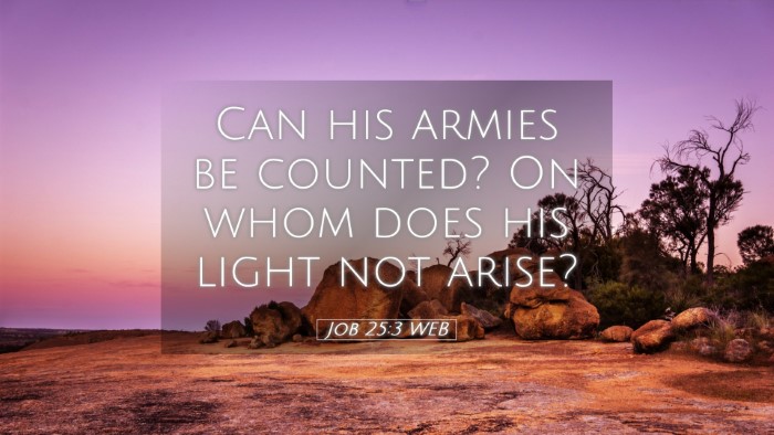 Picture 05 - Job 25:3 WEB Desktop Wallpaper - Can his armies be counted? On whom does his light - Desktop Bible Verse Wallpaper