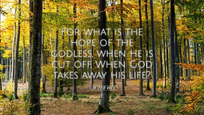 Picture 05 - Job 27:8 WEB Desktop Wallpaper - For what is the hope of the godless, when he is - Desktop Bible Verse Wallpaper