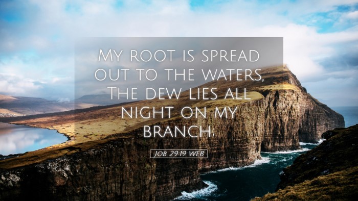 Picture 05 - Job 29:19 WEB Desktop Wallpaper - My root is spread out to the waters, The dew lies - Desktop Bible Verse Wallpaper