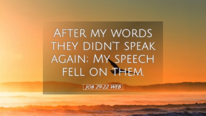 Picture 05 - Job 29:22 WEB Desktop Wallpaper - After my words they didn't speak again; My speech - Desktop Bible Verse Wallpaper