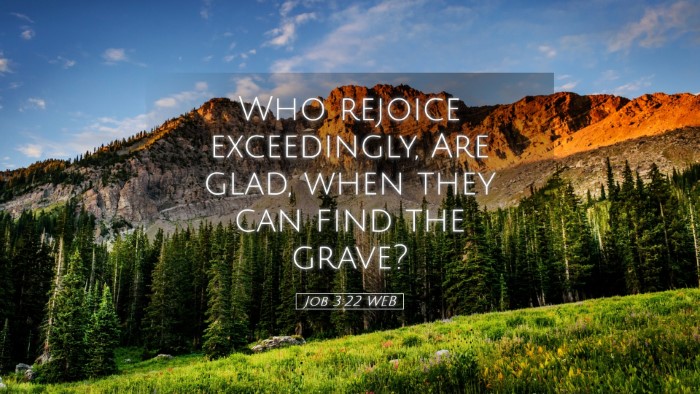 Picture 05 - Job 3:22 WEB Desktop Wallpaper - Who rejoice exceedingly, Are glad, when they can - Desktop Bible Verse Wallpaper