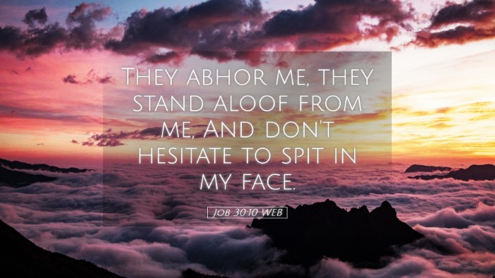 Picture 05 - Job 30:10 WEB Desktop Wallpaper - They abhor me, they stand aloof from me, And - Desktop Bible Verse Wallpaper