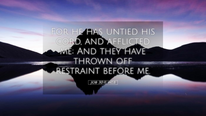 Picture 05 - Job 30:11 WEB Desktop Wallpaper - For he has untied his cord, and afflicted me; And - Desktop Bible Verse Wallpaper