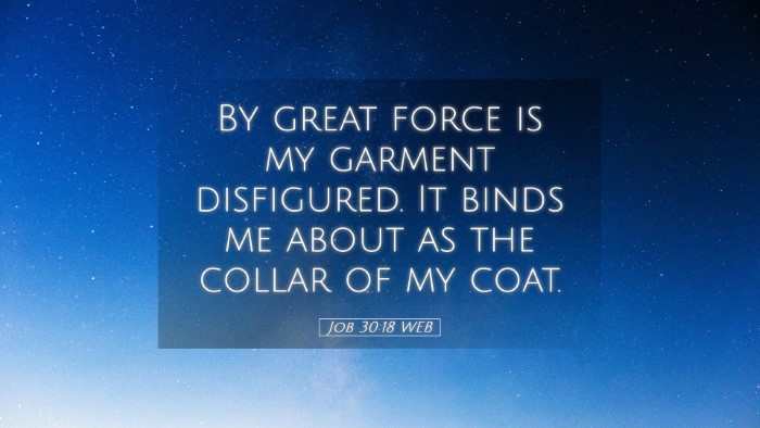Picture 05 - Job 30:18 WEB Desktop Wallpaper - By great force is my garment disfigured. It binds - Desktop Bible Verse Wallpaper