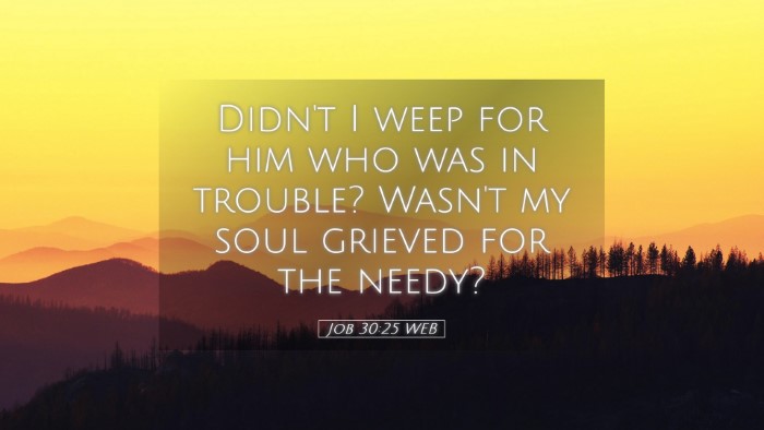 Picture 05 - Job 30:25 WEB Desktop Wallpaper - Didn't I weep for him who was in trouble? Wasn't - Desktop Bible Verse Wallpaper