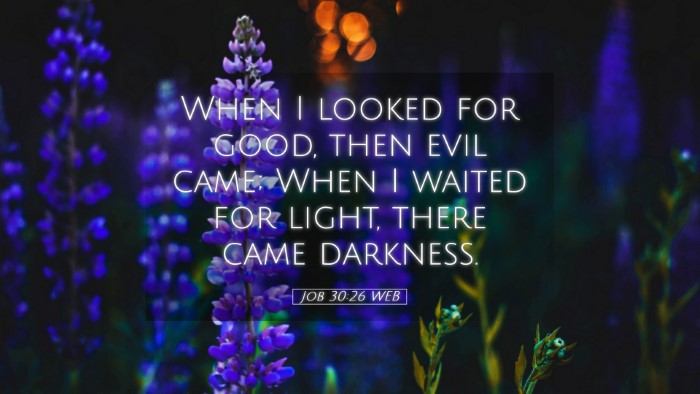 Picture 05 - Job 30:26 WEB Desktop Wallpaper - When I looked for good, then evil came; When I - Desktop Bible Verse Wallpaper