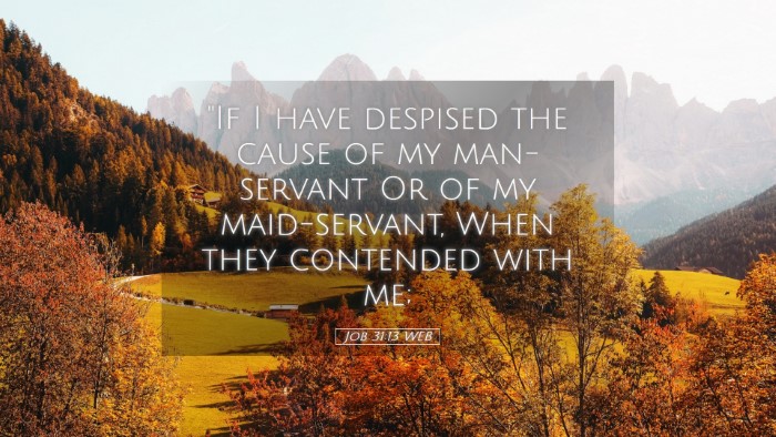 Picture 05 - Job 31:13 WEB Desktop Wallpaper - 