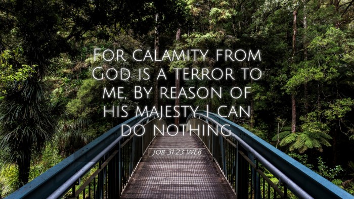 Picture 05 - Job 31:23 WEB Desktop Wallpaper - For calamity from God is a terror to me, By - Desktop Bible Verse Wallpaper