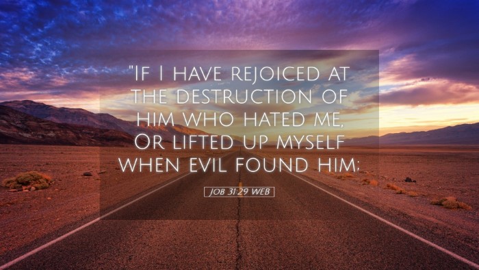 Picture 05 - Job 31:29 WEB Desktop Wallpaper - 