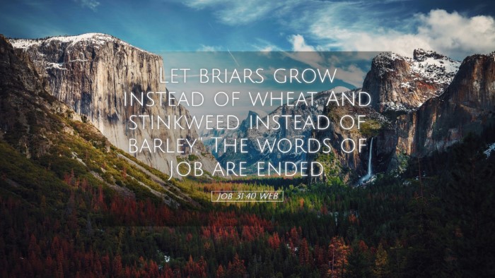 Picture 05 - Job 31:40 WEB Desktop Wallpaper - Let briars grow instead of wheat, And stinkweed - Desktop Bible Verse Wallpaper