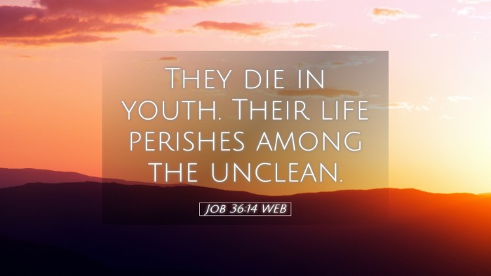 Picture 05 - Job 36:14 WEB Desktop Wallpaper - They die in youth. Their life perishes among the - Desktop Bible Verse Wallpaper