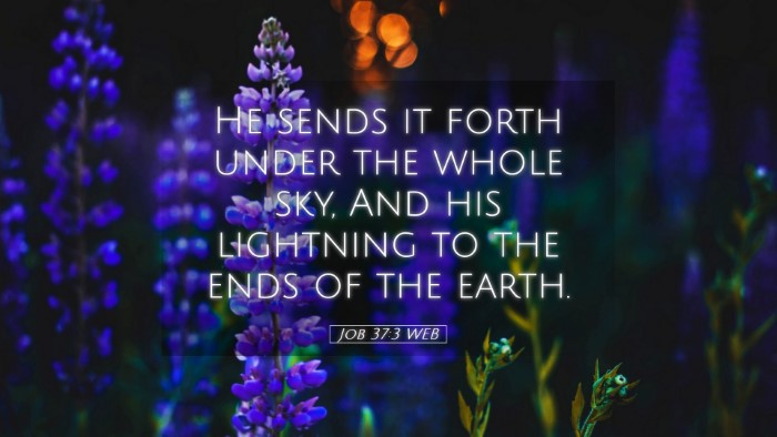 Picture 05 - Job 37:3 WEB Desktop Wallpaper - He sends it forth under the whole sky, And his - Desktop Bible Verse Wallpaper