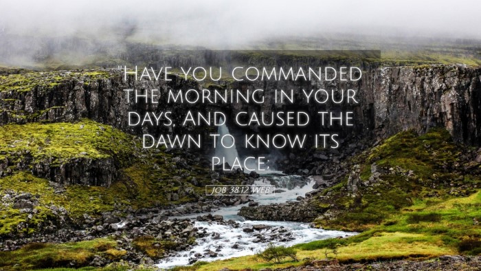 Picture 05 - Job 38:12 WEB Desktop Wallpaper - 