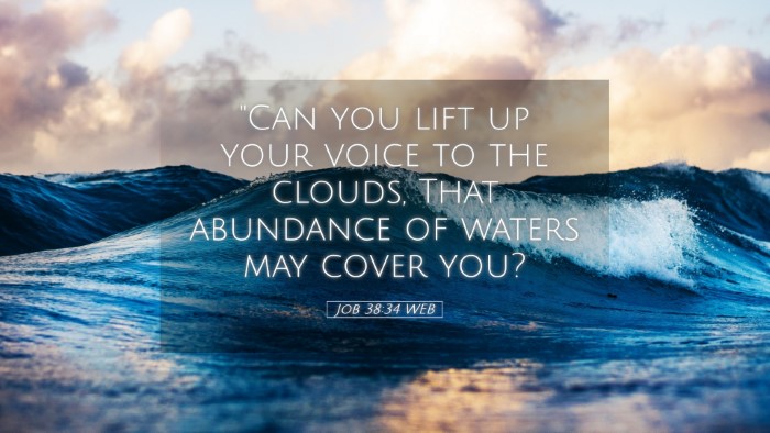 Picture 05 - Job 38:34 WEB Desktop Wallpaper - 