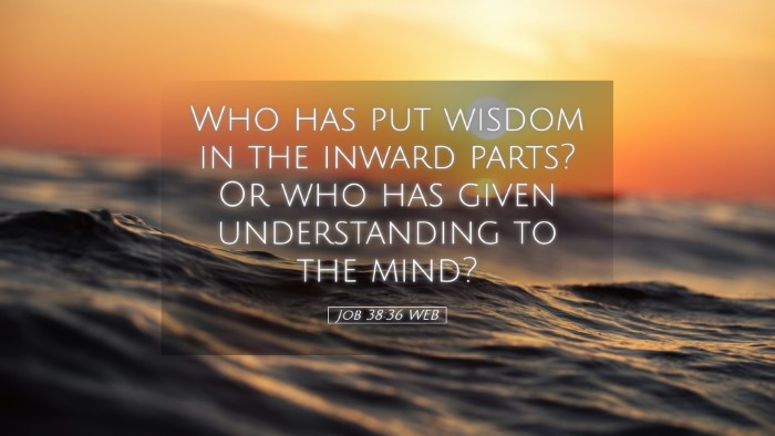 Picture 05 - Job 38:36 WEB Desktop Wallpaper - Who has put wisdom in the inward parts? Or who - Desktop Bible Verse Wallpaper