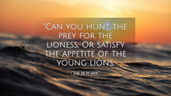 Picture 05 - Job 38:39 WEB Desktop Wallpaper - 