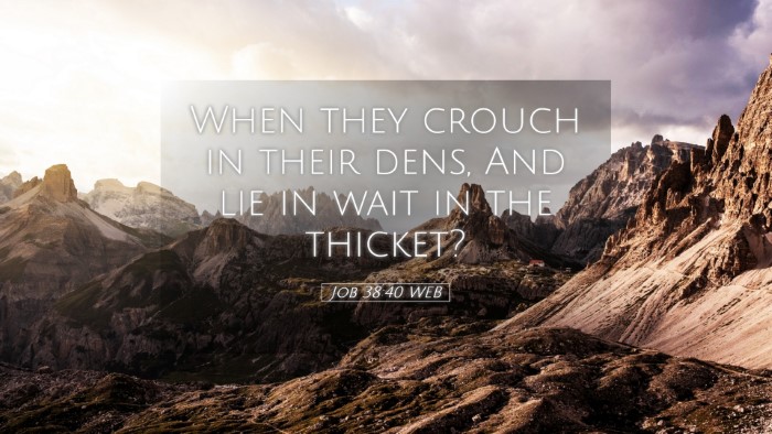 Picture 05 - Job 38:40 WEB Desktop Wallpaper - When they crouch in their dens, And lie in wait - Desktop Bible Verse Wallpaper