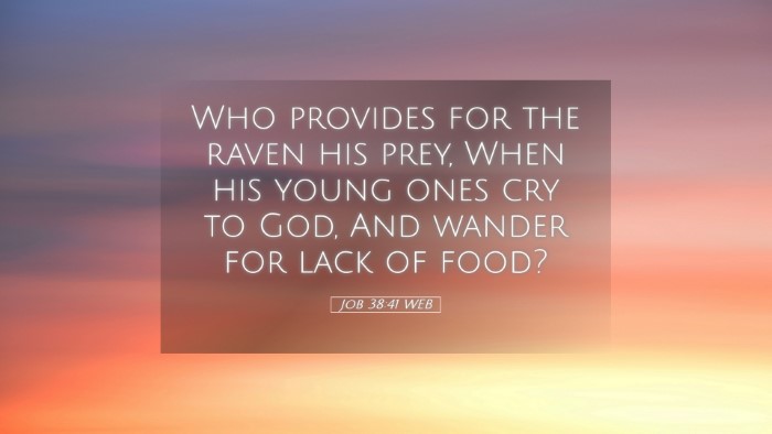 Picture 05 - Job 38:41 WEB Desktop Wallpaper - Who provides for the raven his prey, When his - Desktop Bible Verse Wallpaper